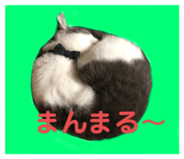 513695544