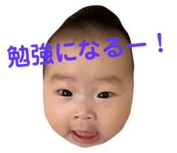 513723650