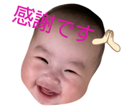 513723655