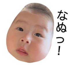 513723659