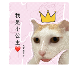 513762344
