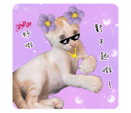 513762348