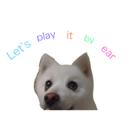 513766586