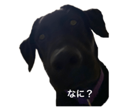 513767078