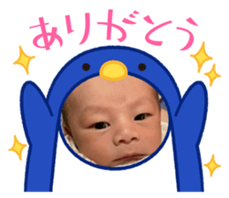 513771877