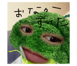 513819343