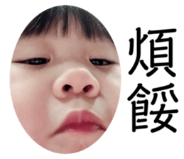 514037442