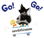 514061330