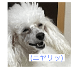 514102091