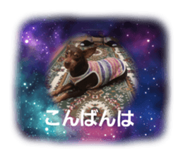 514102705