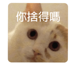 514112743