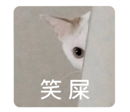 514112749
