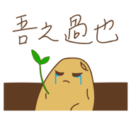 514206090