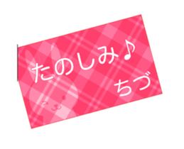51430020