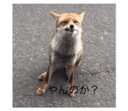 514356857