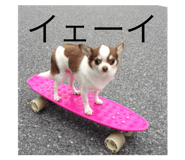 514356861