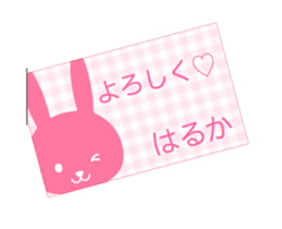 51440487