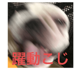 514479210