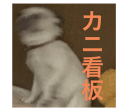 514479222