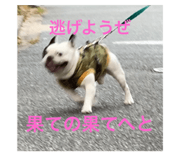 514479235