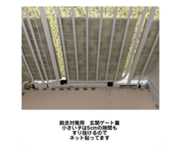 514676911