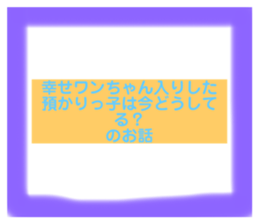 514676945