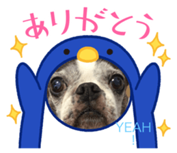 514783744