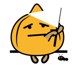 5148072