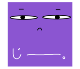 51494005