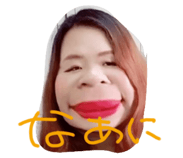 514955186