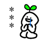 514956709