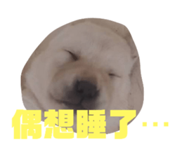 514980298
