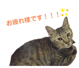 514984954