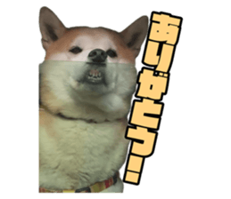 514996909