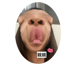 515038254