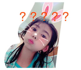 515221623