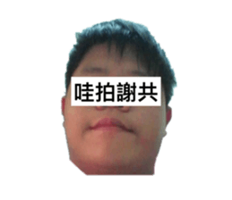 515222352