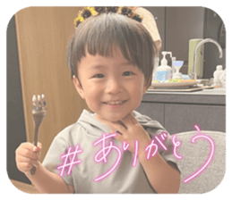 515291823