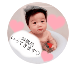 515347528