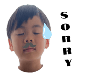 515403675