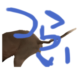 515454656