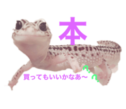 515455777