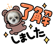 515464545