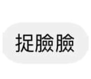 515491273