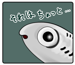 515498571