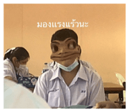 515630010
