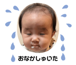 515647310