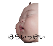 515689178