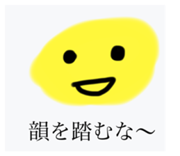 515741796