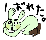 515840044
